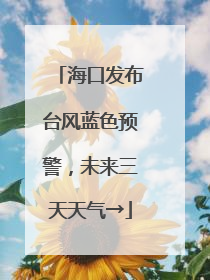 海口发布台风蓝色预警，未来三天天气→