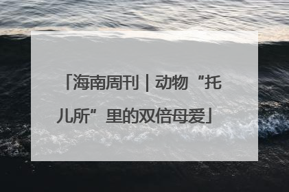 海南周刊｜动物“托儿所”里的双倍母爱