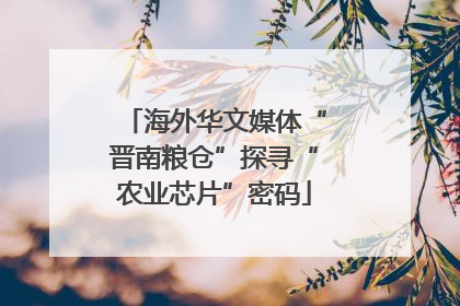 海外华文媒体“晋南粮仓”探寻“农业芯片”密码