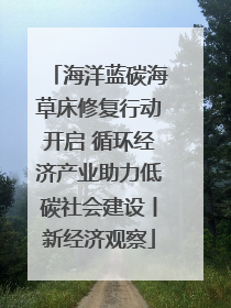 海洋蓝碳海草床修复行动开启 循环经济产业助力低碳社会建设丨新经济观察