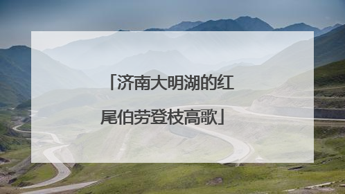济南大明湖的红尾伯劳登枝高歌
