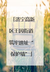 济宁高新区王因街道筑牢遗址“保护墙”