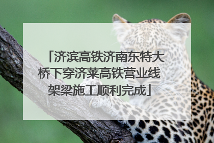 济滨高铁济南东特大桥下穿济莱高铁营业线架梁施工顺利完成