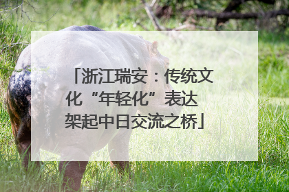浙江瑞安：传统文化“年轻化”表达 架起中日交流之桥