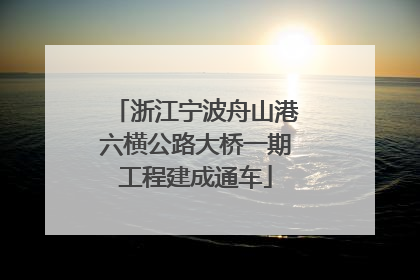浙江宁波舟山港六横公路大桥一期工程建成通车
