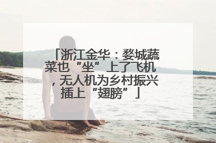 浙江金华：婺城蔬菜也“坐”上了飞机，无人机为乡村振兴插上“翅膀”
