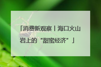 消费新观察丨海口火山岩上的“甜蜜经济”