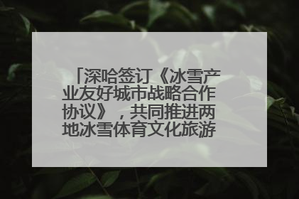 深哈签订《冰雪产业友好城市战略合作协议》，共同推进两地冰雪体育文化旅游高质量发展