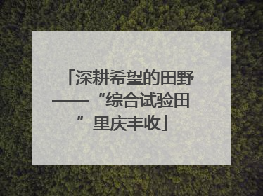 深耕希望的田野——“综合试验田”里庆丰收