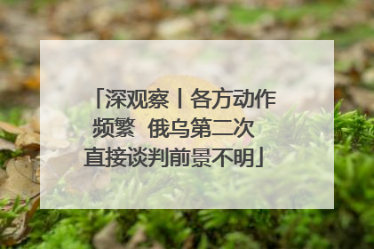 深观察丨各方动作频繁  俄乌第二次直接谈判前景不明