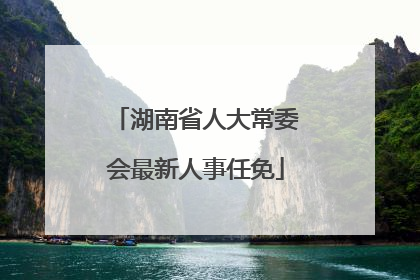 湖南省人大常委会最新人事任免