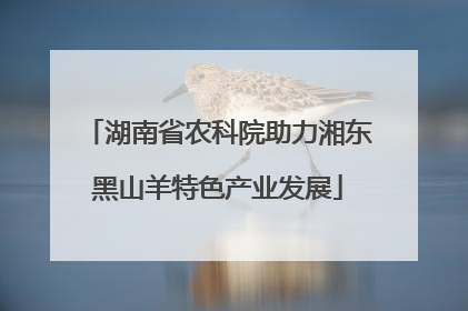 湖南省农科院助力湘东黑山羊特色产业发展