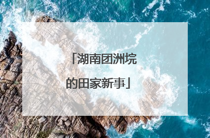湖南团洲垸的田家新事