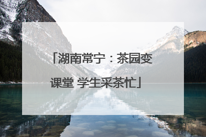 湖南常宁：茶园变课堂 学生采茶忙