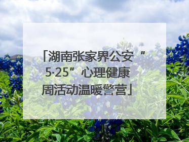湖南张家界公安“5·25”心理健康周活动温暖警营