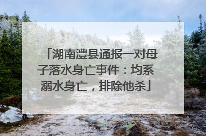 湖南澧县通报一对母子落水身亡事件：均系溺水身亡，排除他杀