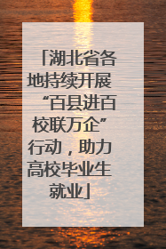 湖北省各地持续开展“百县进百校联万企”行动，助力高校毕业生就业