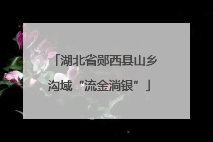 湖北省郧西县山乡沟域“流金淌银”