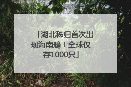 湖北秭归首次出现海南鳽！全球仅存1000只