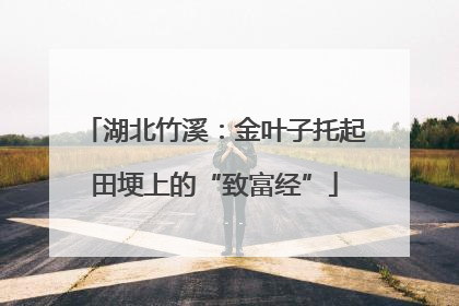 湖北竹溪：金叶子托起田埂上的“致富经”