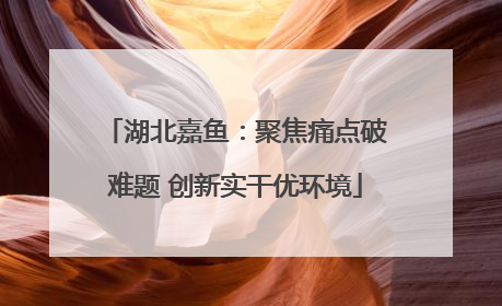 湖北嘉鱼：聚焦痛点破难题 创新实干优环境