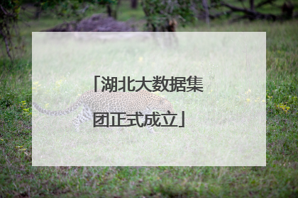 湖北大数据集团正式成立