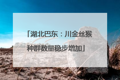 湖北巴东：川金丝猴种群数量稳步增加