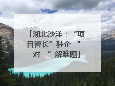 湖北沙洋：“项目警长”驻企 “一对一”解难题