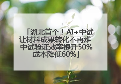 湖北首个！AI+中试让材料成果转化不再难 中试验证效率提升50%成本降低60%