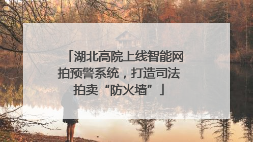 湖北高院上线智能网拍预警系统，打造司法拍卖“防火墙”