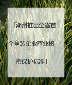 湖州推出全省首个童装企业商业秘密保护标准