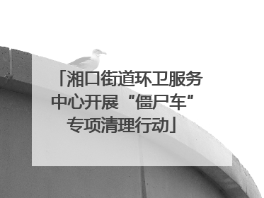 湘口街道环卫服务中心开展“僵尸车”专项清理行动