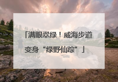 满眼翠绿！威海步道变身“绿野仙踪”