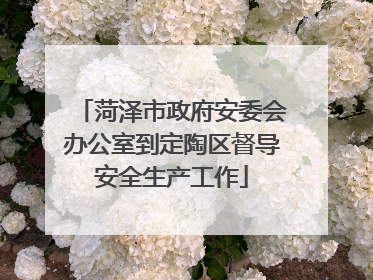 菏泽市政府安委会办公室到定陶区督导安全生产工作