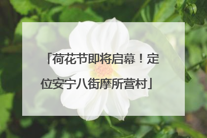 荷花节即将启幕！定位安宁八街摩所营村