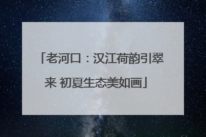 老河口：汉江荷韵引翠来 初夏生态美如画
