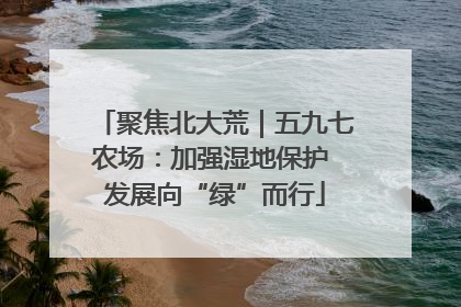 聚焦北大荒｜五九七农场：加强湿地保护 发展向“绿”而行