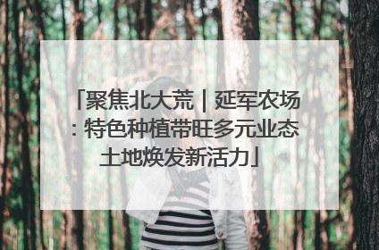 聚焦北大荒｜延军农场：特色种植带旺多元业态 土地焕发新活力