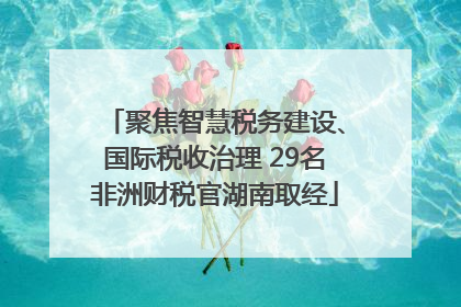 聚焦智慧税务建设、国际税收治理 29名非洲财税官湖南取经