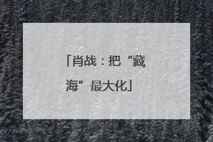 肖战：把“藏海”最大化