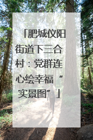 肥城仪阳街道下三合村：党群连心绘幸福“实景图”