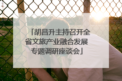 胡昌升主持召开全省文旅产业融合发展专题调研座谈会