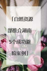 自然资源部推介湖南5个成功避险案例