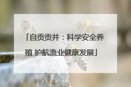 自贡贡井：科学安全养殖 护航渔业健康发展