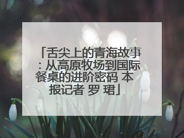 舌尖上的青海故事：从高原牧场到国际餐桌的进阶密码 本报记者 罗 珺