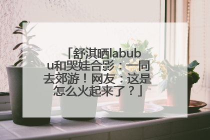 舒淇晒labubu和哭娃合影：一同去郊游！网友：这是怎么火起来了？