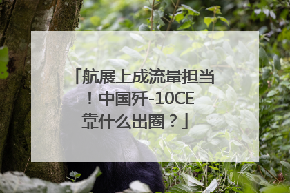 航展上成流量担当！中国歼-10CE靠什么出圈？