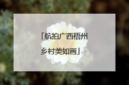 航拍广西梧州乡村美如画