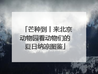 芒种到丨来北京动物园看动物们的夏日纳凉图鉴