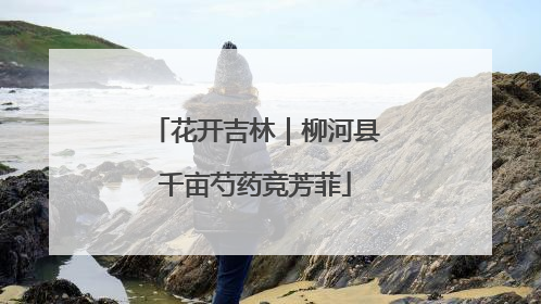 花开吉林｜柳河县千亩芍药竞芳菲